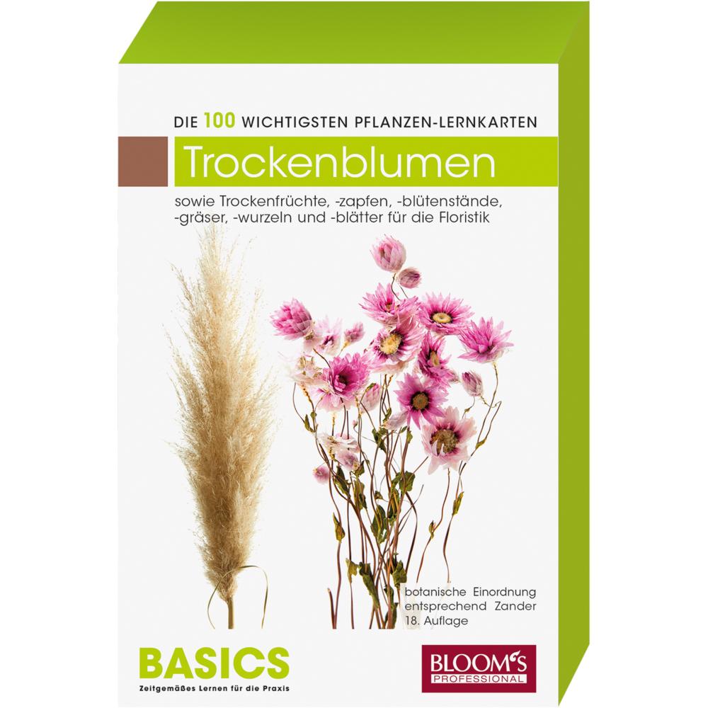 Thumbnail - Pflanzen-Lernkarten, Die 100 wichtigsten Trockenfloralien/Früchte, Schulbücher von Karl-Michael Haake