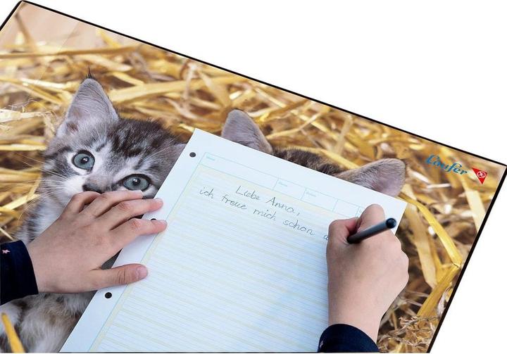 Image du produit Läufer Motif 40x53 chat/paille (53 x 40 cm)