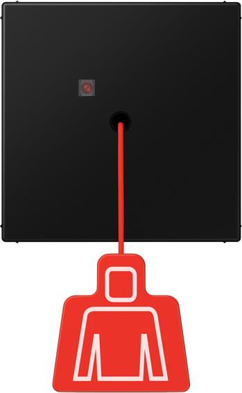 Actual product image JUNG Pull switch