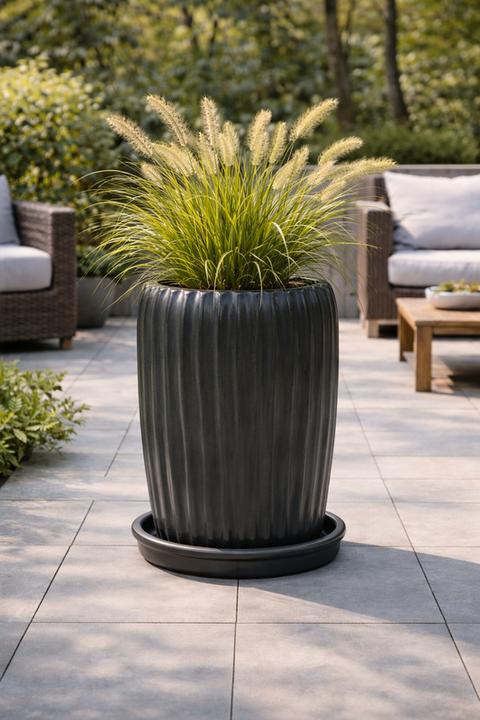 Actual product image Jaco Barro