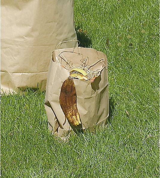 Produktbild kaiserkraft Papier-Abfallsäcke (100x, 12 l)