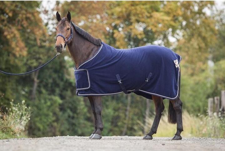 Produktbild HFI Master Präsentationsdecke (145 cm)