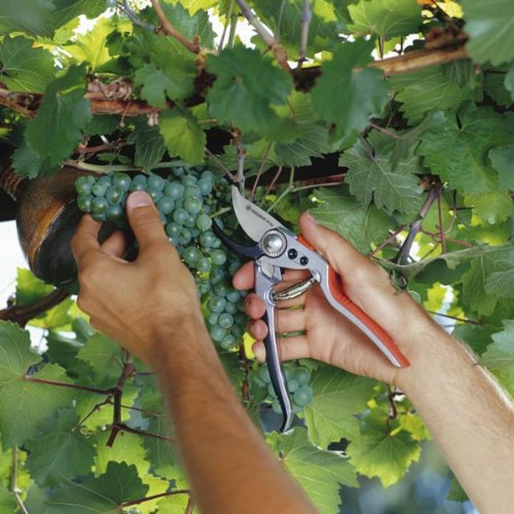 Actual product image Gardena Premium BP50