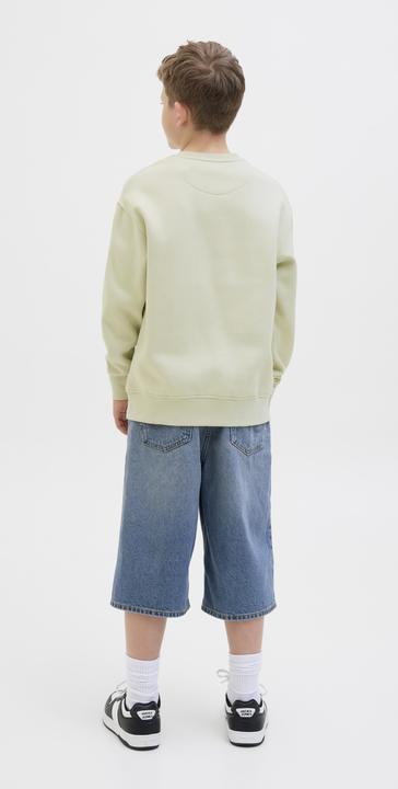 Produktbild Jack & Jones Gedruckt Sweatshirt Junior Sweatshirt (176)