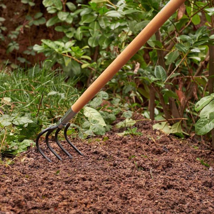 Actual product image Victoria Hoe