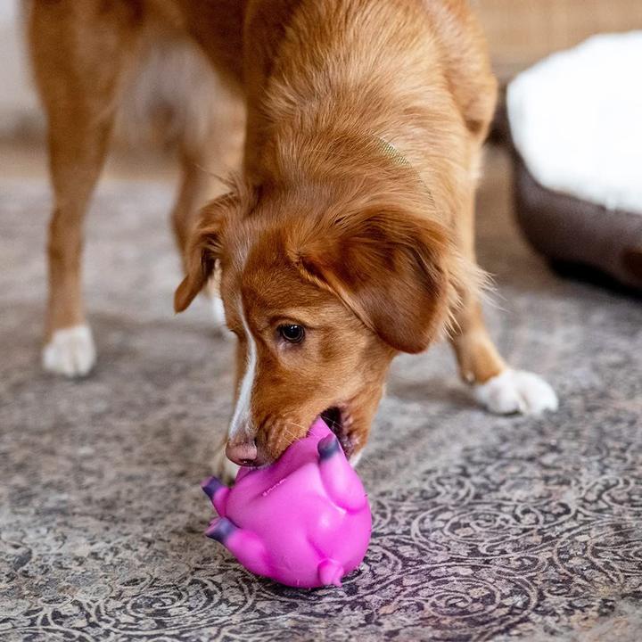 Immagine prodotto Nobby Cane giocattolo in lattice di maiale, 20 cm (Gioco da masticare per cani)