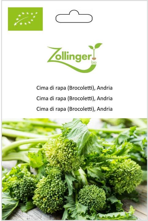 Actual product image Zollinger Bio Cima di rapa (Brocoletti), Andria (Seedlings)