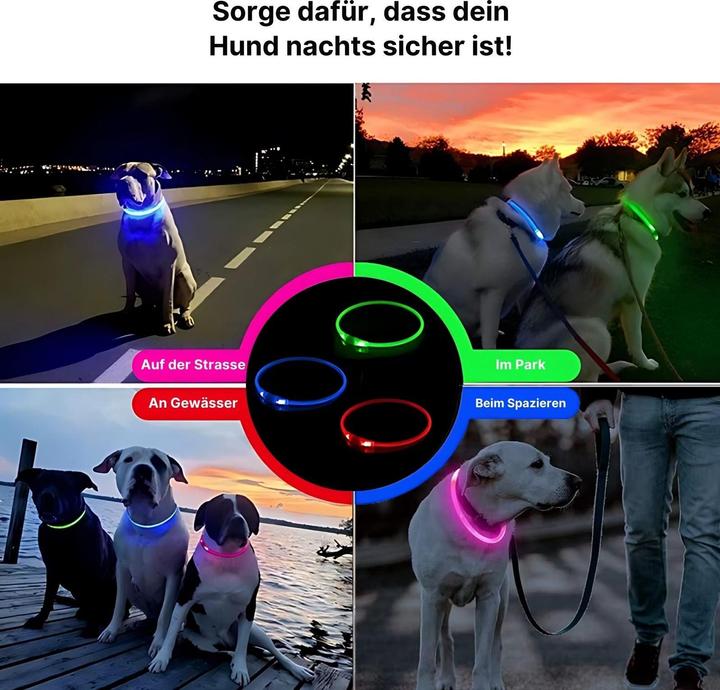 Actual product image Hermex LED safety dog collar Dog collar Light-up collar Tube collar (Dog, General)