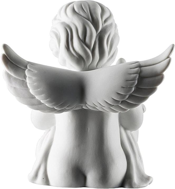 Actual product image Rosenthal 69055-000102-90517