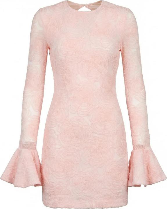 Image du produit Rotate Rosana Mesh Frill Mini Dress (34)
