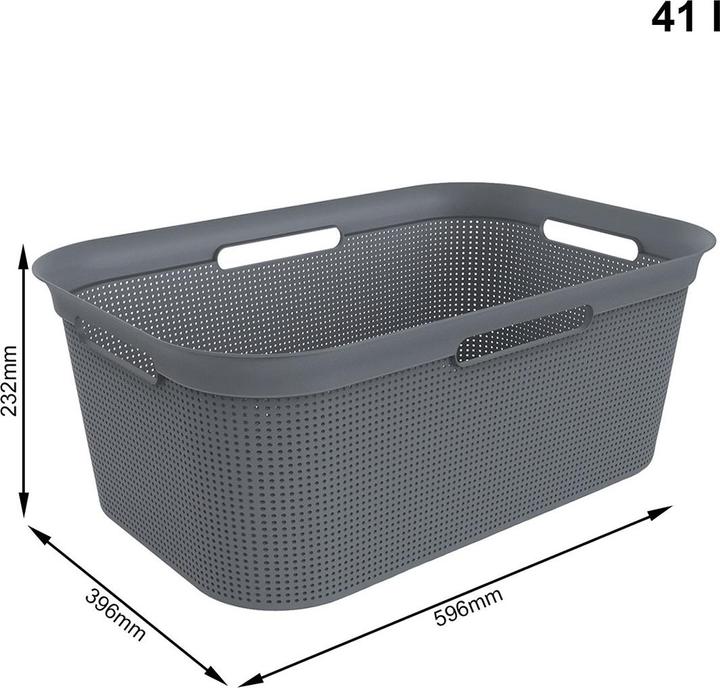 Image du produit Rotho Brises (41 l)