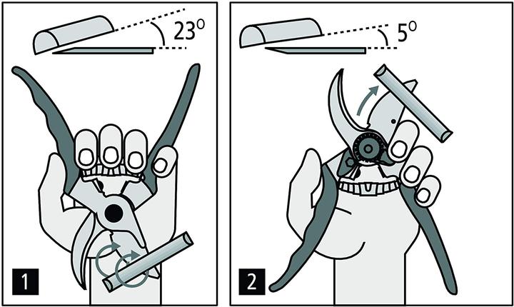 Actual product image Felco Rose shears up to 1cm branch diameter