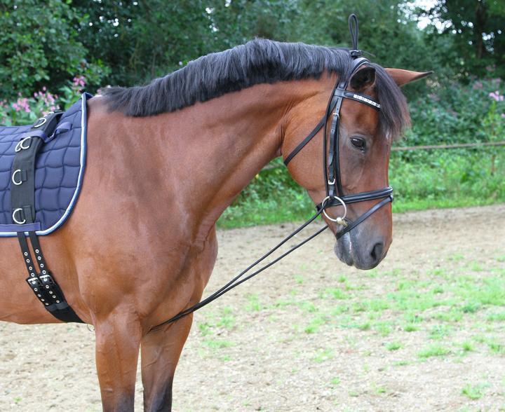 Actual product image Kerbl Neck extender