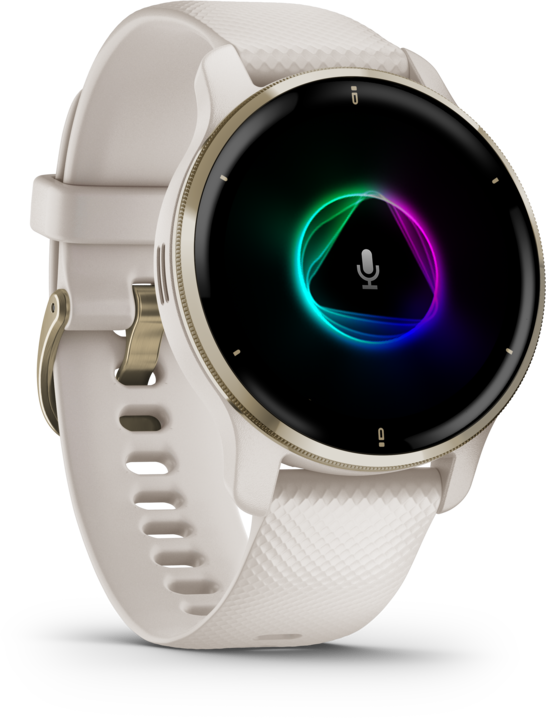 Garmin Venu 2 Plus (43 mm)