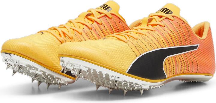 Actual product image Puma evoSPEED BRUSH 6 (40.5)