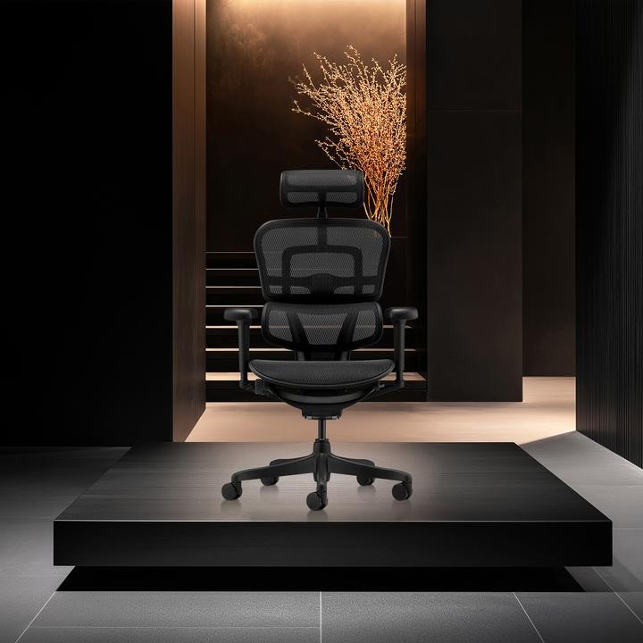 Actual product image Hjh Office Ergohuman Signature Gen2