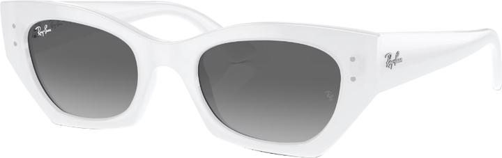 Ray Ban ZENA RB4430 grey on white snow S