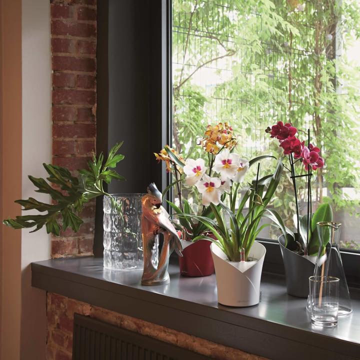 Produktbild Lechuza Orchidea (17.90 x 20 cm)