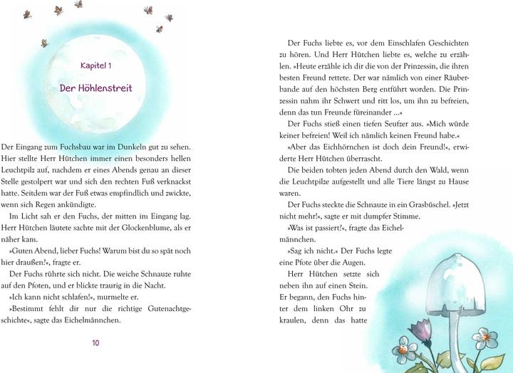 Actual product image Herr Hütchen sagt Gute Nacht - Einschlafgeschichten aus dem (Katrin Pokahr, German)