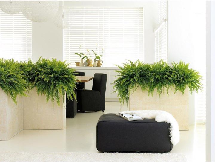 Produktbild Fleur Ami POLYSTONE DIVIDE Raumteiler (35 cm)
