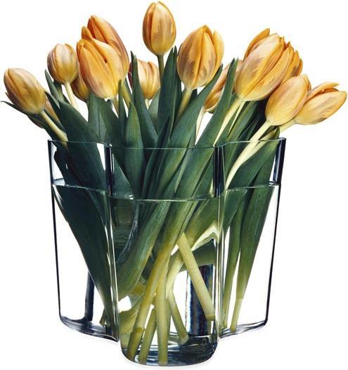 Produktbild Iittala Aalto Vase im 2er-Set (2 x, 16 x 9.5 cm)