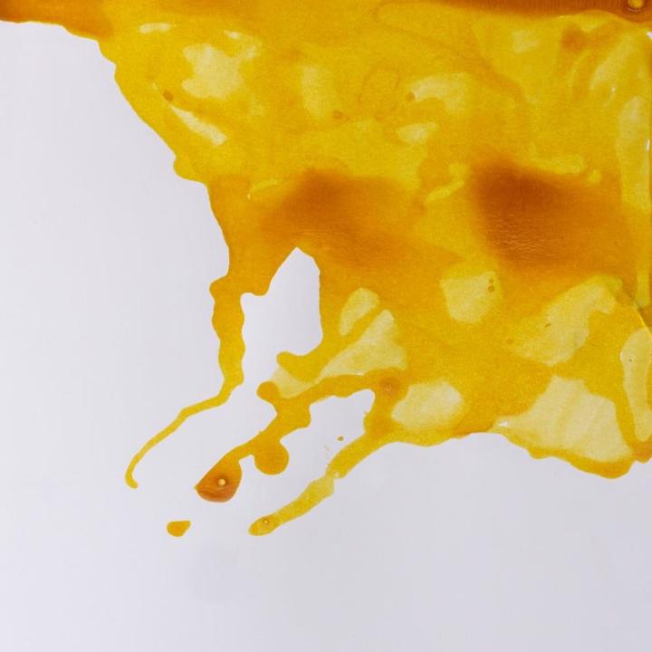 Actual product image Winsor & Newton Drawing Ink 14ml Canary Yellow 123 (Yellow, 1 pcs.)