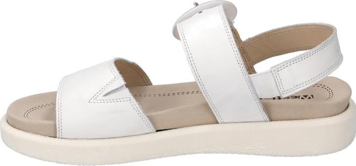 Actual product image Westland 25408-409 (41)