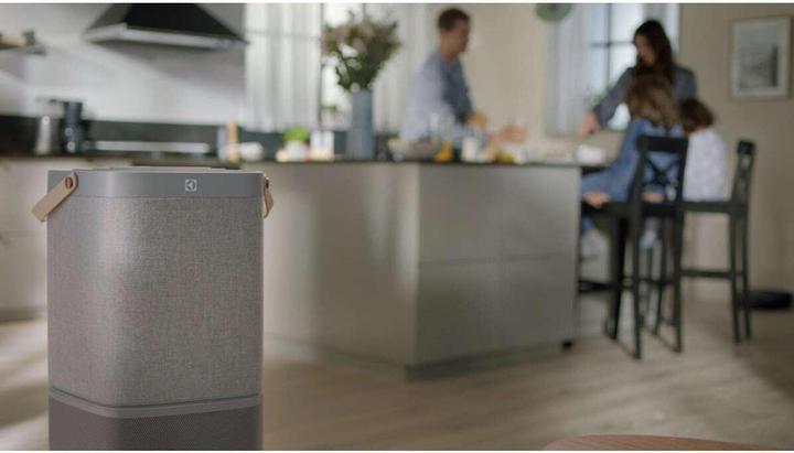 Actual product image Electrolux PURE A9 Care - Filter (1 x)