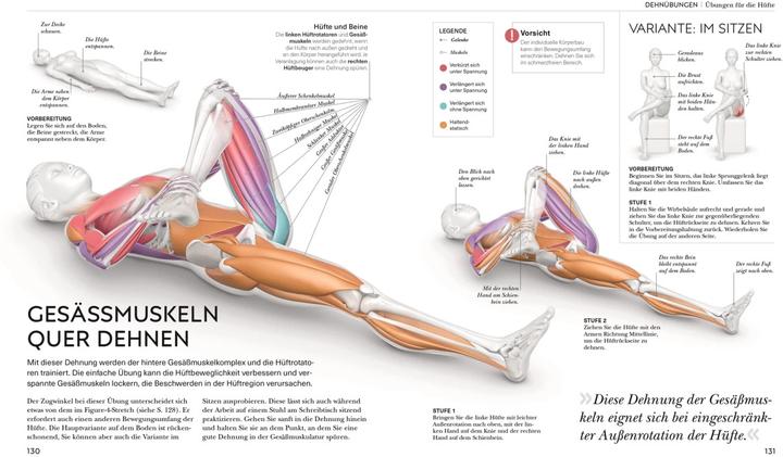 Actual product image Malek:Stretching - Die Anatomie versteh (German, Leada Malek, 2023)