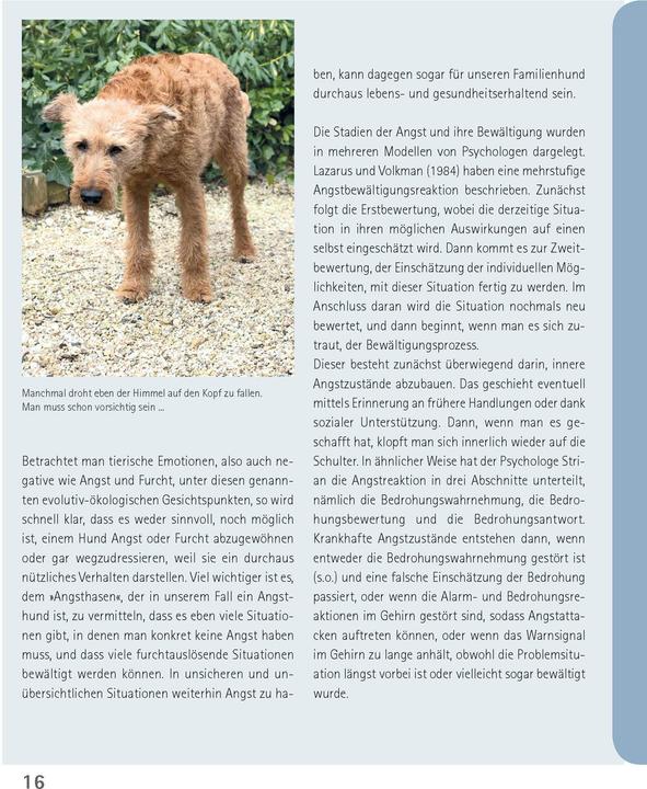 Produktbild Mein Hund hat Angst (Deutsch, Udo Ganslosser, Petra Krivy, 2024)