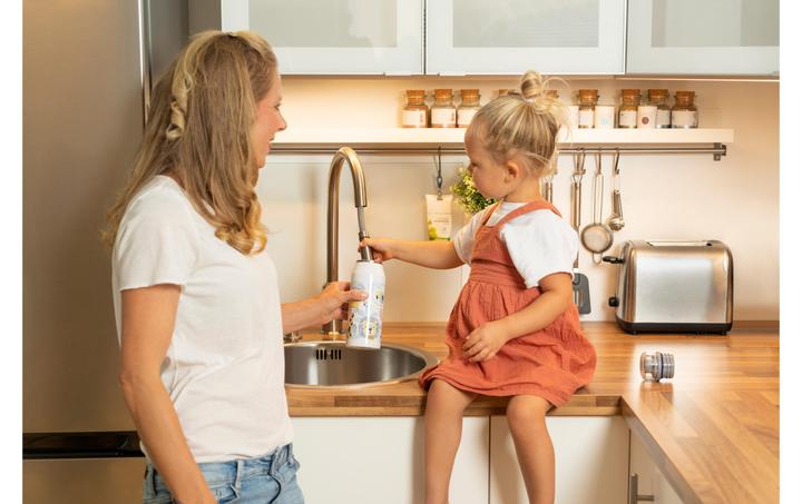 Actual product image Alfi isoBottle (0.35 l)