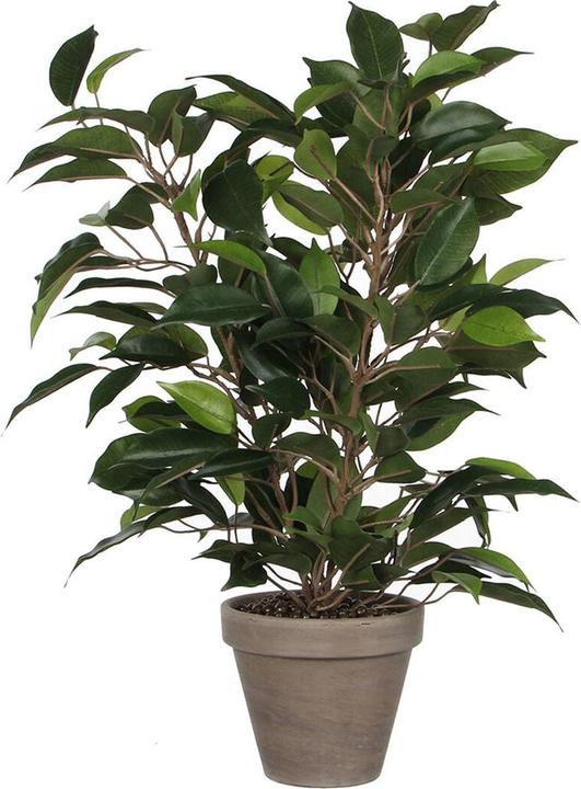Produktbild Mica Kunstpflanze Birkenfeige Ficus natasja Ø 30 H 40 cm grün (40 cm)