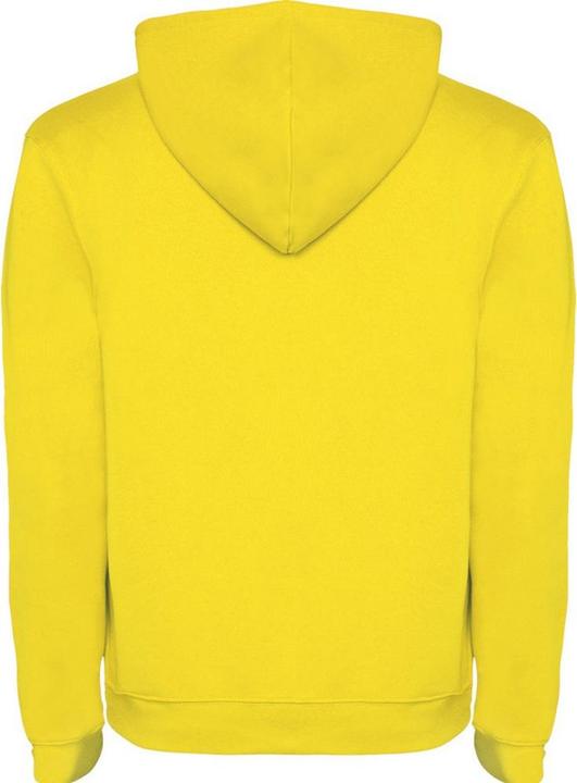 Produktbild Alpinia Urban Kapuzenpullover (M)