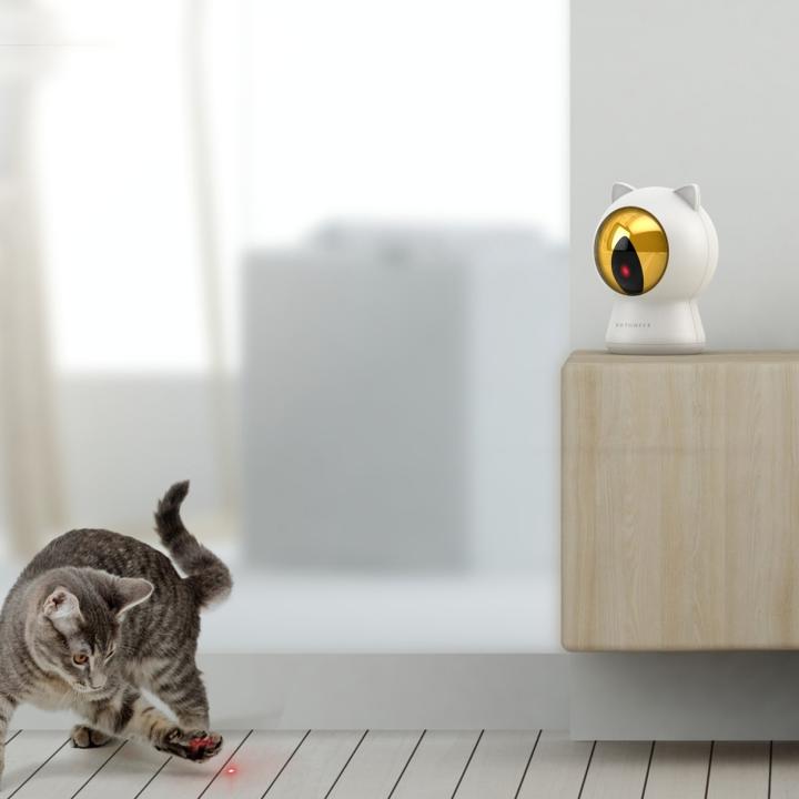 Produktbild Petoneer Smart Dot (Beschäftigungsspielzeug Katze)