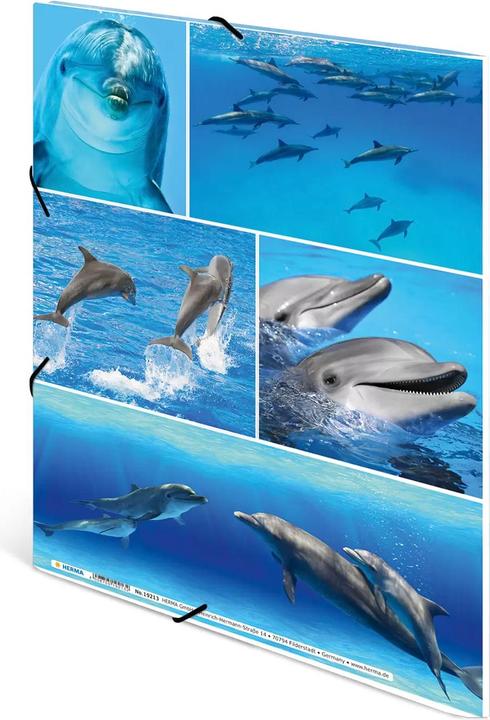 Produktbild HERMA Sammelmappe A4 Motiv (A4, 1x)