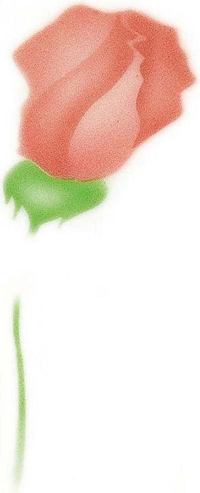Produktbild Martellato Airbrush Schablone Rose und Geschenk