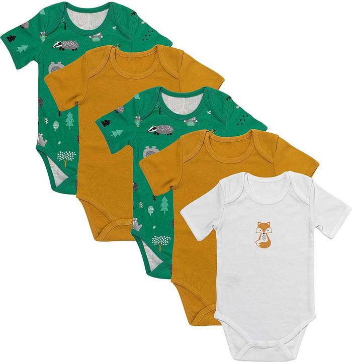 Animali della foresta