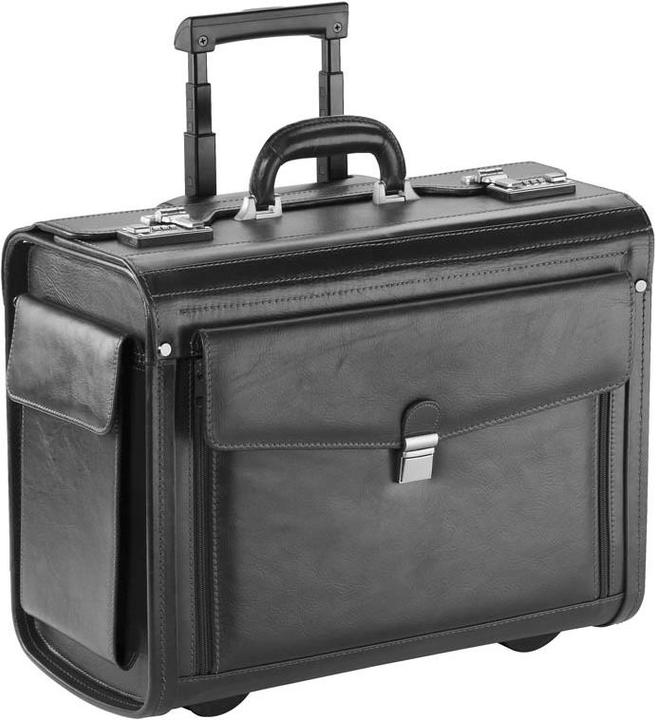 Actual product image Dermata were pilot case 45.5cm from vegatabile full cowhide (37 l)