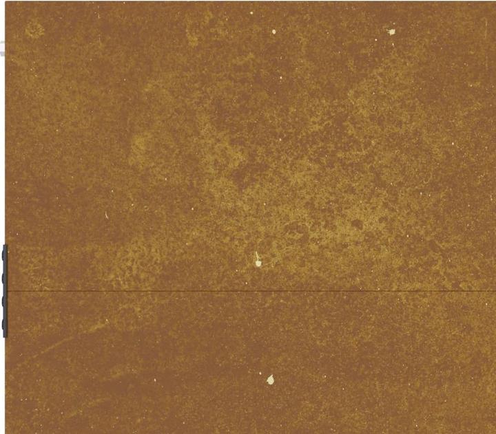 Produktbild vidaXL Gartentor