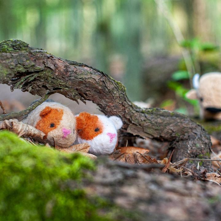 Produktbild Agna Wool Meerschweinchen - Bastelset Filz