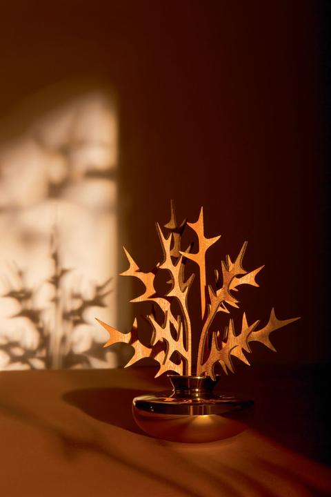 Image du produit Alessi Diffuseur de feuilles de parfum BRRR (150 ml)