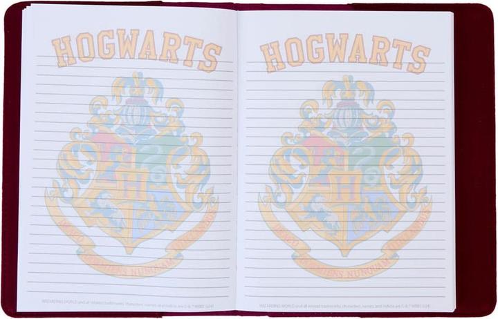 Image du produit Loungefly Harry Potter by carnet de notes (À rayures)