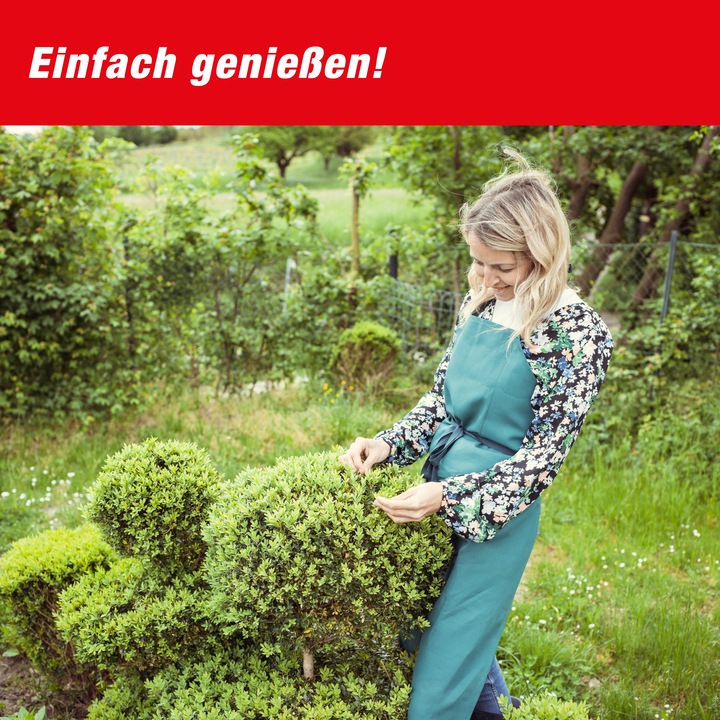 Productafbeelding Swissinno Buchsbaumzünsler-Falle inkl. 1x Pheromon