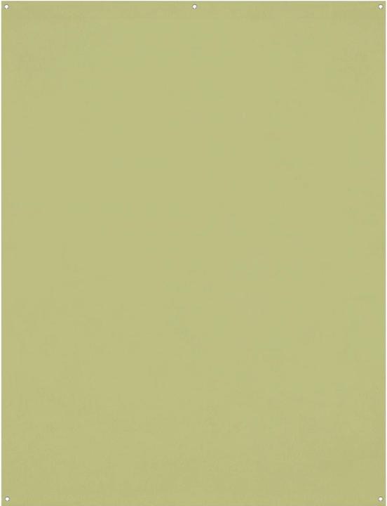 Image du produit Westcott X Drop Wrinkle Resistant Backdrop Vert mousse clair (1.5 x 2.1 m) (150 cm, 210 cm)