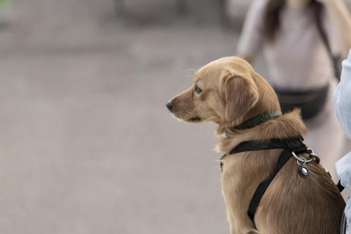 Image du produit Belkin Porte-étiquette sécurisé