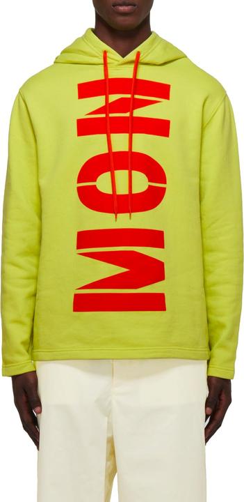 Actual product image Moncler Genius Logo Hoodie (M)