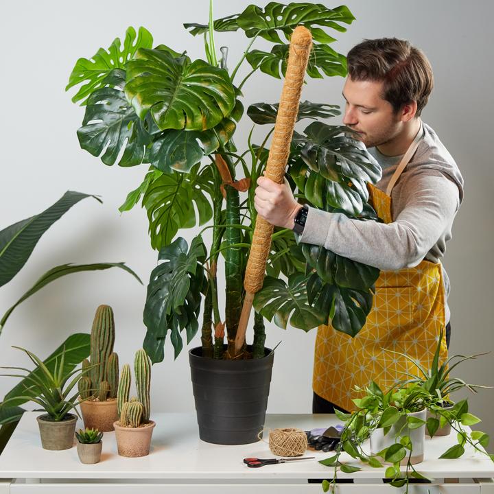 Image du produit Relaxdays 10x Kokosstäbe (4 cm, 4 cm)