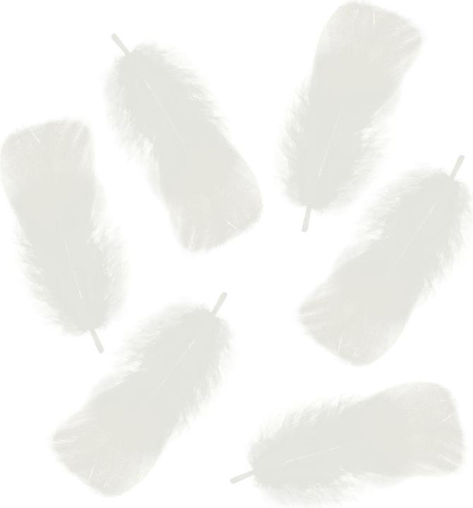 Image du produit Ursus Ressorts