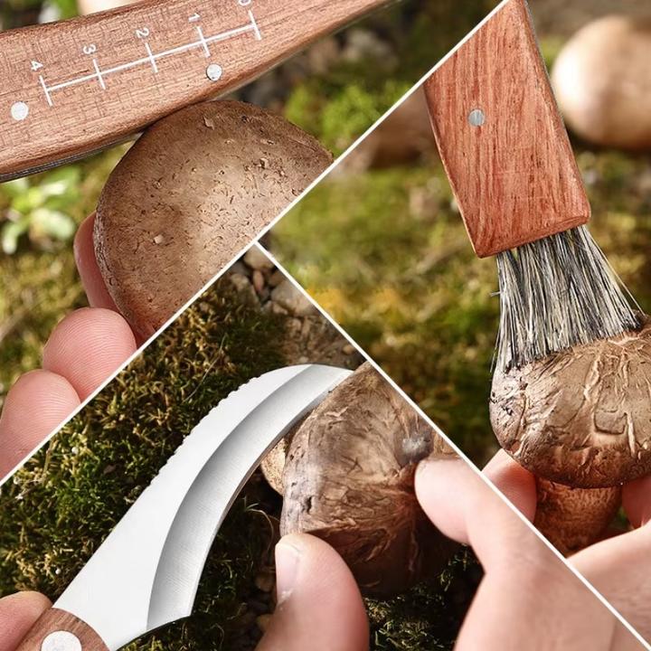 Actual product image WMF Couteau pliant à champignons