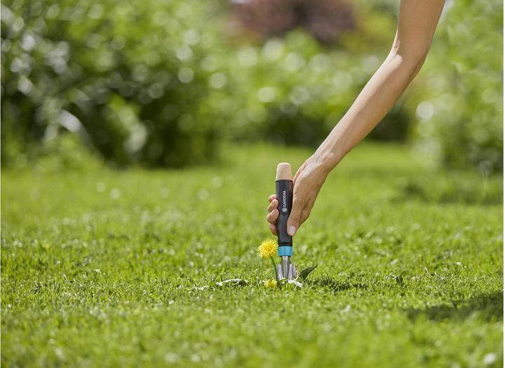 Actual product image Gardena EcoLine